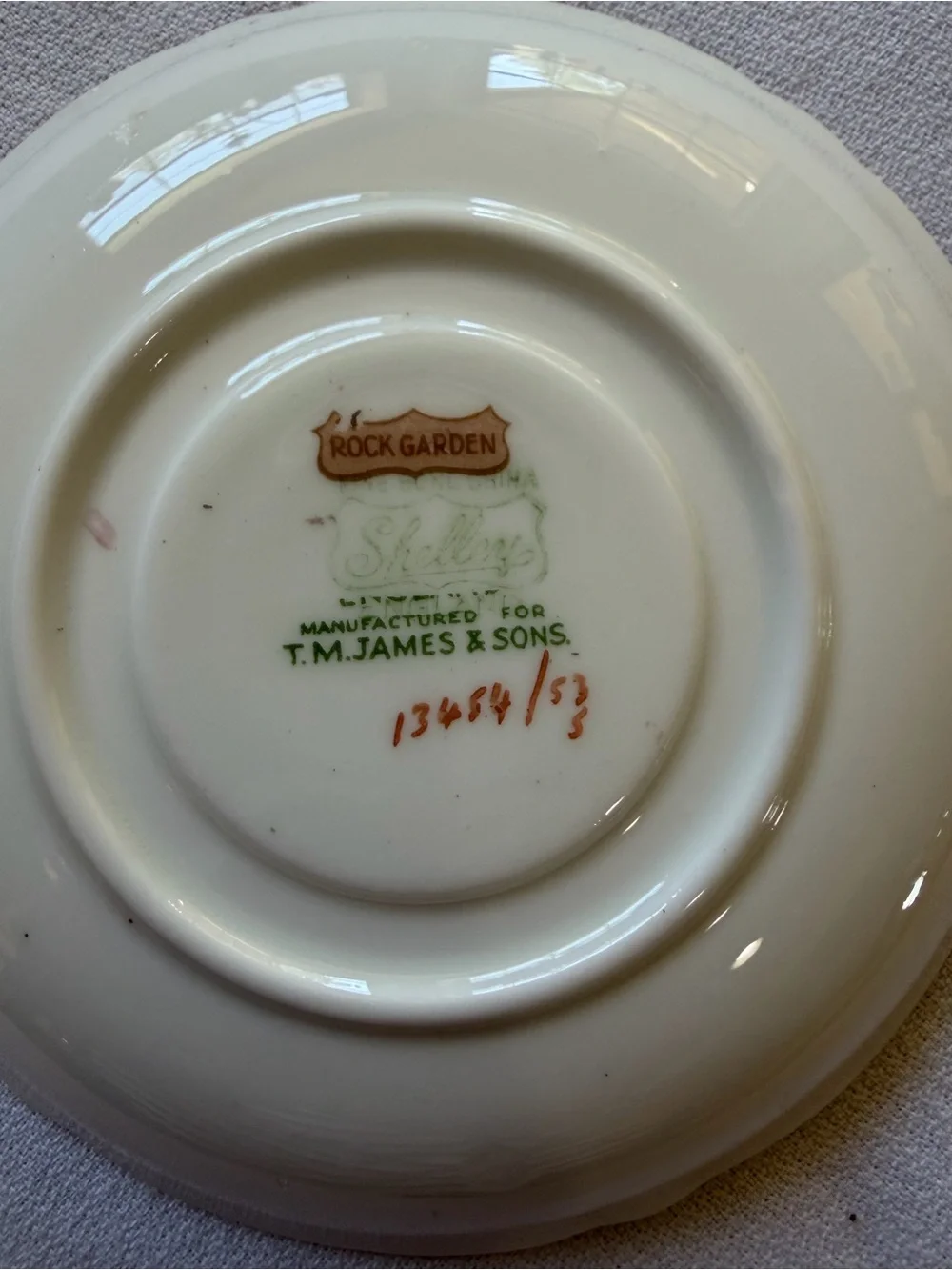 VTG Shelle England Teacup & Saucer Bone China Chintz Rock Garden